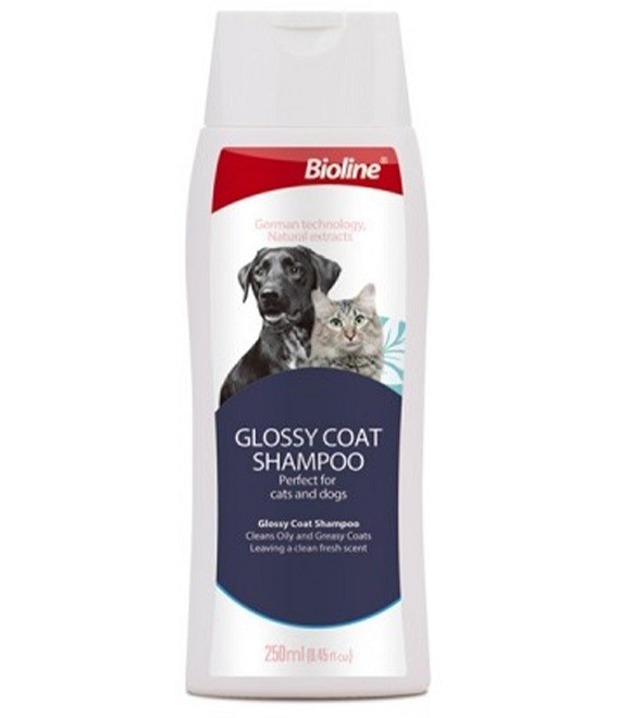 Bioline Glossy Coat Shampoo For Dogs & Cats