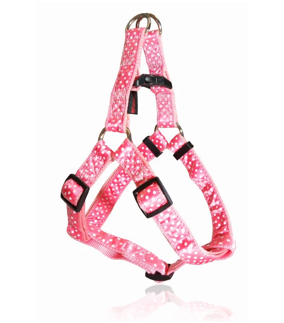 Pet Interest Dog Collar Dots Pink - Small