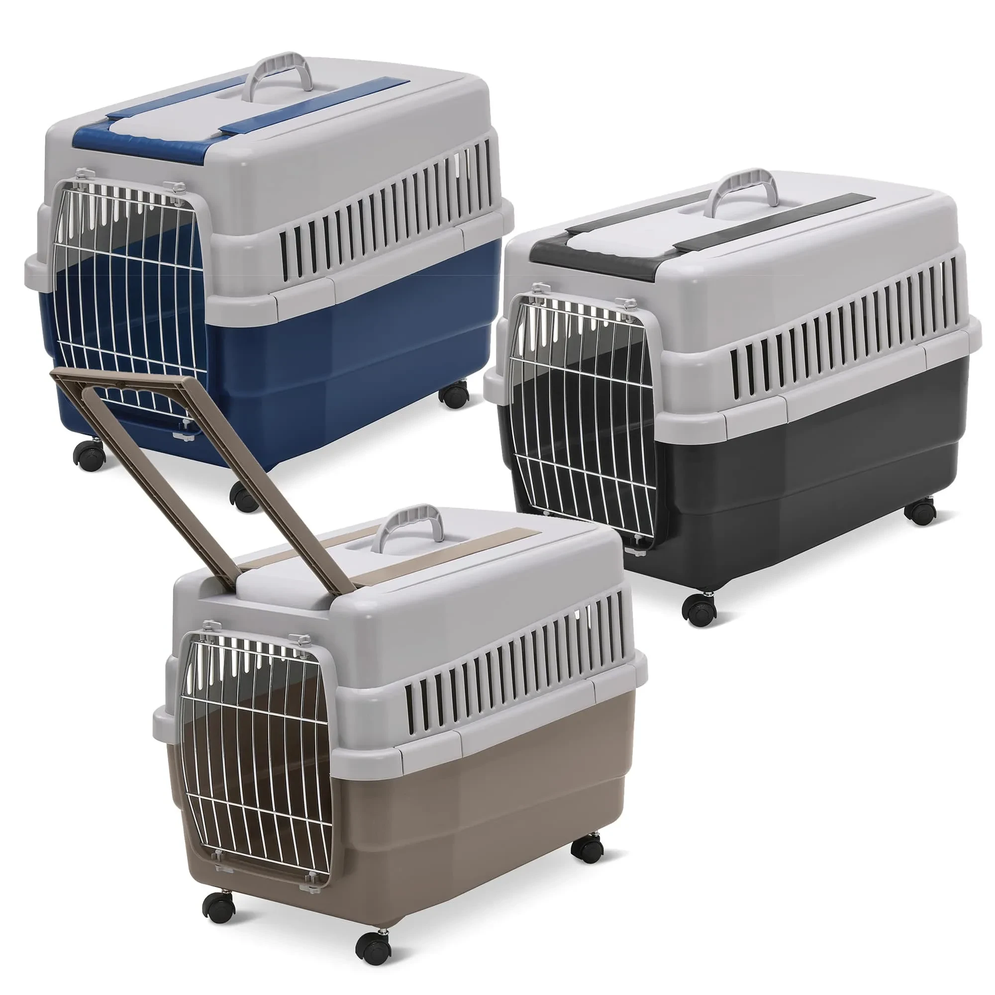 KIM 60 Carrier for cats and dogs - Mixed Colors
