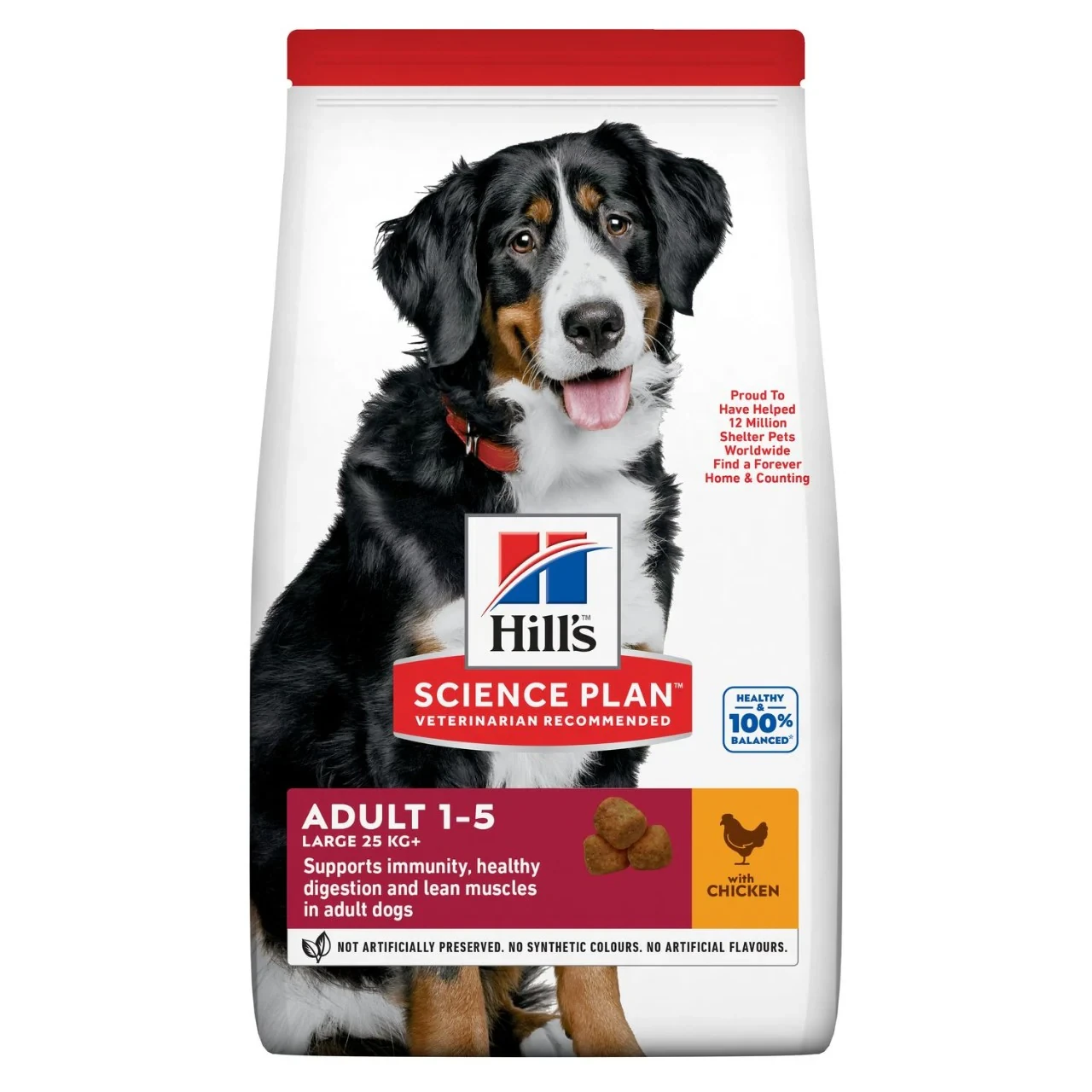 Hill's Science Plan Adult Large Breed Dry Dog Food with Chicken 14 kg