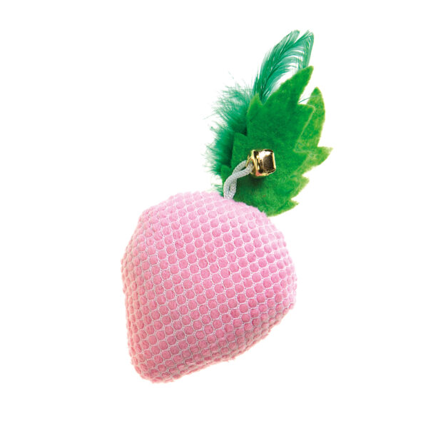 STRAWBERRY CAT TOY - AVC Pet Store