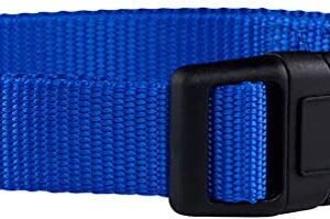 Nylon Dog Collar Blue S - AVC Pet Store