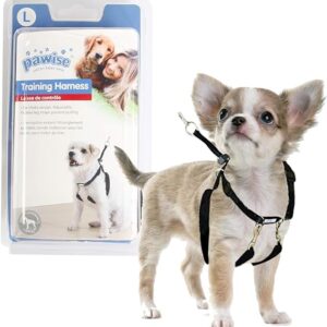 Pawise Dog Training Harness M (1''x16-24'') - AVC Pet Store