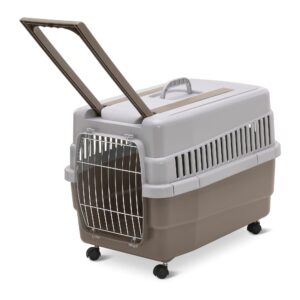 KIM 60 Carrier for cats and dogs - AVC Pet Store