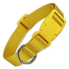 Nylon Dog Collar Yellow - AVC Pet Store