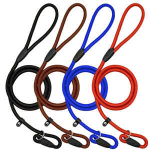 Dog Leash Slip Lead Adjustable - AVC Pet Store