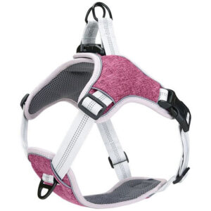 Pet Interest GoGet Soft Robust Harness - AVC Pet Store