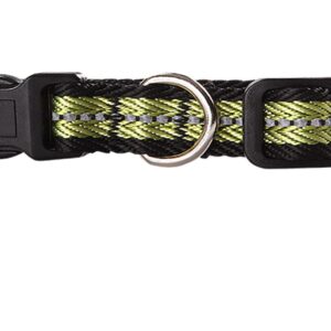 Pawise Dog Reflective Collar Green M - AVC Pet Store