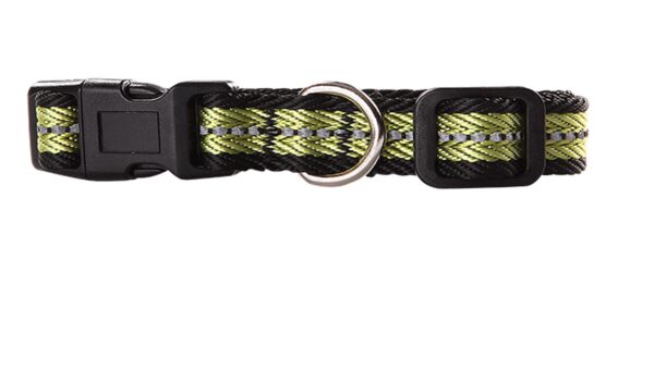 Pawise Dog Reflective Collar Green M - AVC Pet Store