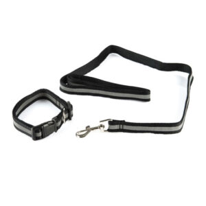 Pet Collar And Lead - AVC Pet Store