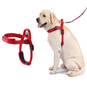 Dogness Reflective Dog Harness - AVC Pet Store