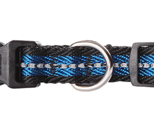 Pawise Dog Reflective Collar Blue L - AVC Pet Store